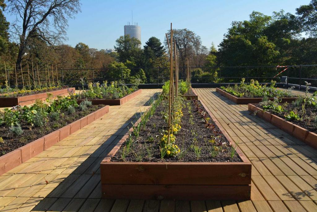 Réalisation potager urbain sur toit plat